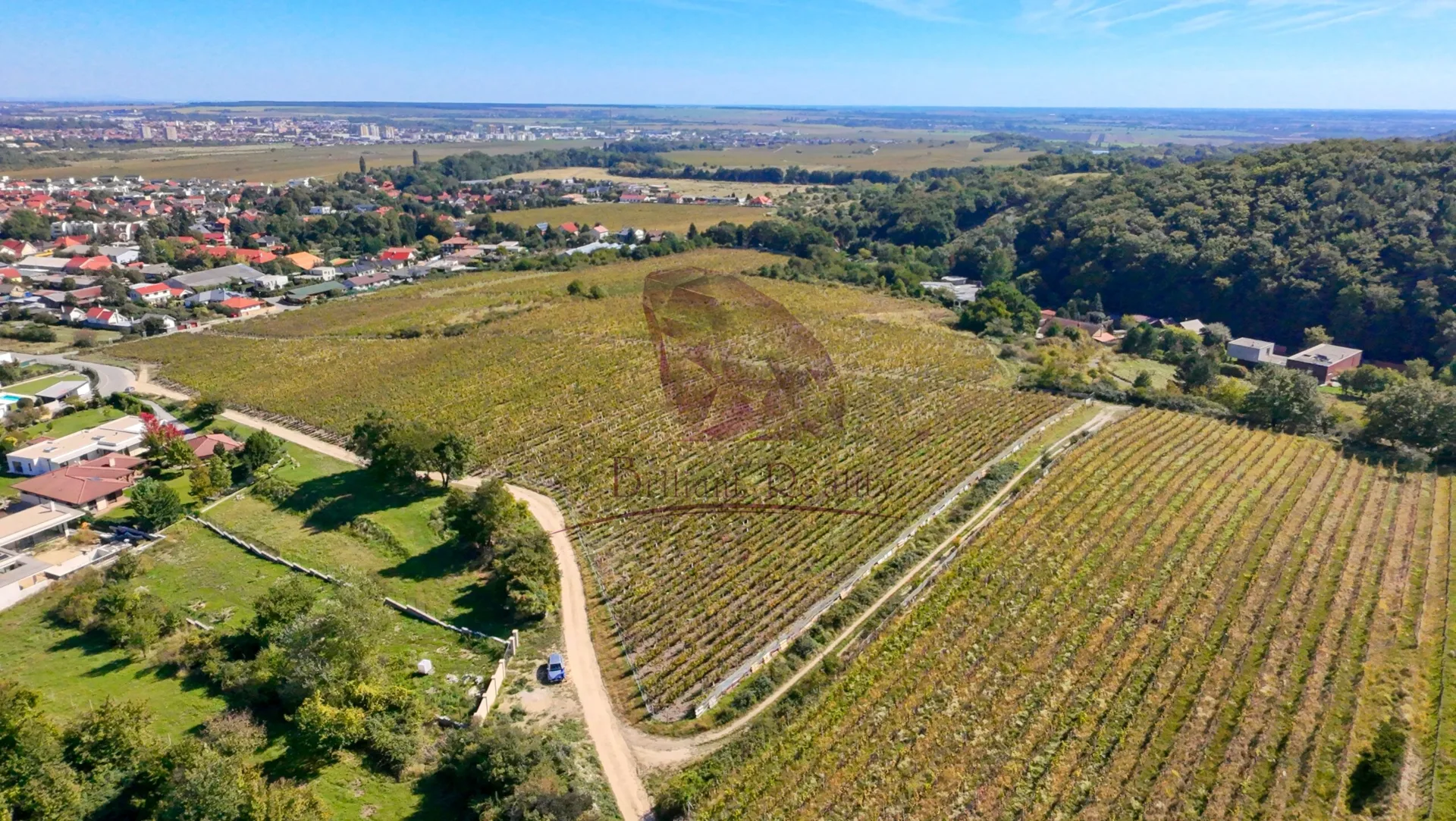 Vinica v Limbachu - foto 3