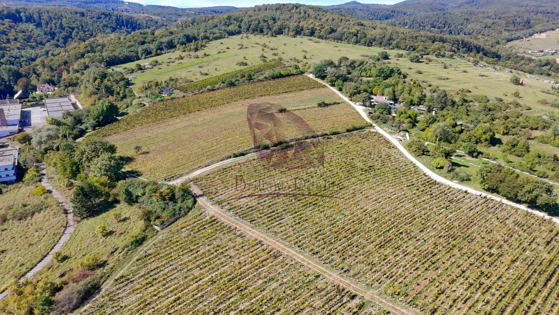 Vinica v Limbachu - foto 4